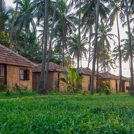Sunway Cottages Mandrem Exteriér fotografie
