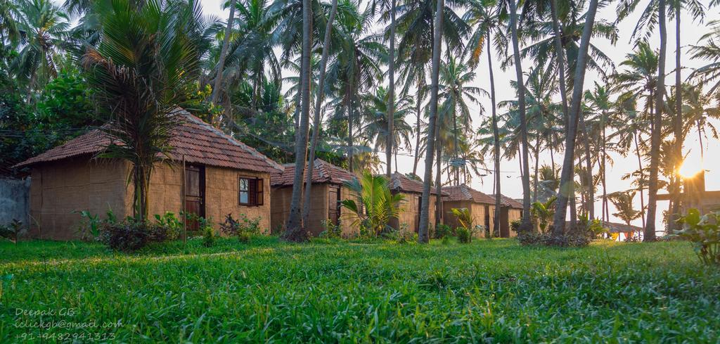 Sunway Cottages Mandrem Exteriér fotografie
